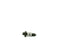 Tuff Torq - 15888185520 - Relief Valve