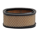 Oregon 30-105 Paper Air Filter for Briggs & Stratton 393725