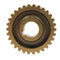 MTD - 1901976 - Worm Gear