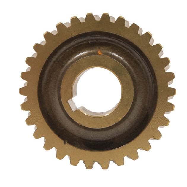 MTD - 1901976 - Worm Gear