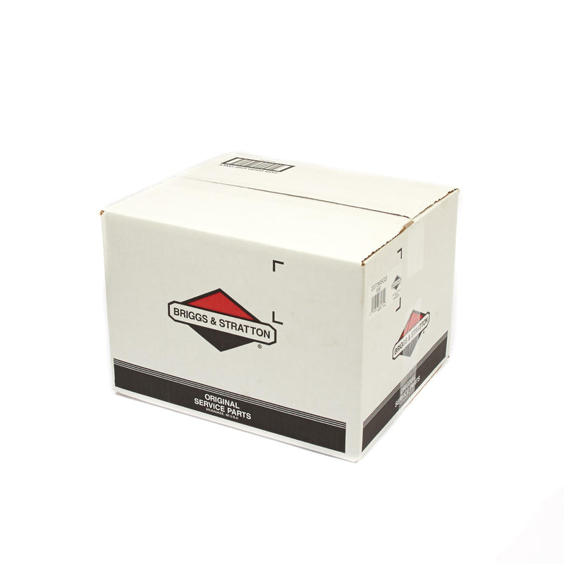 Briggs & Stratton - 207365GS - Pressure Washer Pump