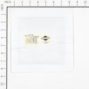 Briggs & Stratton - 842873 - KIT-CARB OVERHAUL