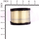 Briggs & Stratton - 393725 - FILTER-A/C CARTRIDGE
