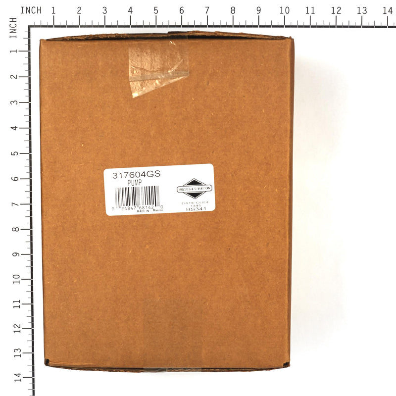 Briggs & Stratton - 317604GS - Pressure Washer Pump