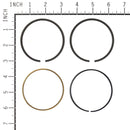 Briggs & Stratton - 791969 - RING SET-STD