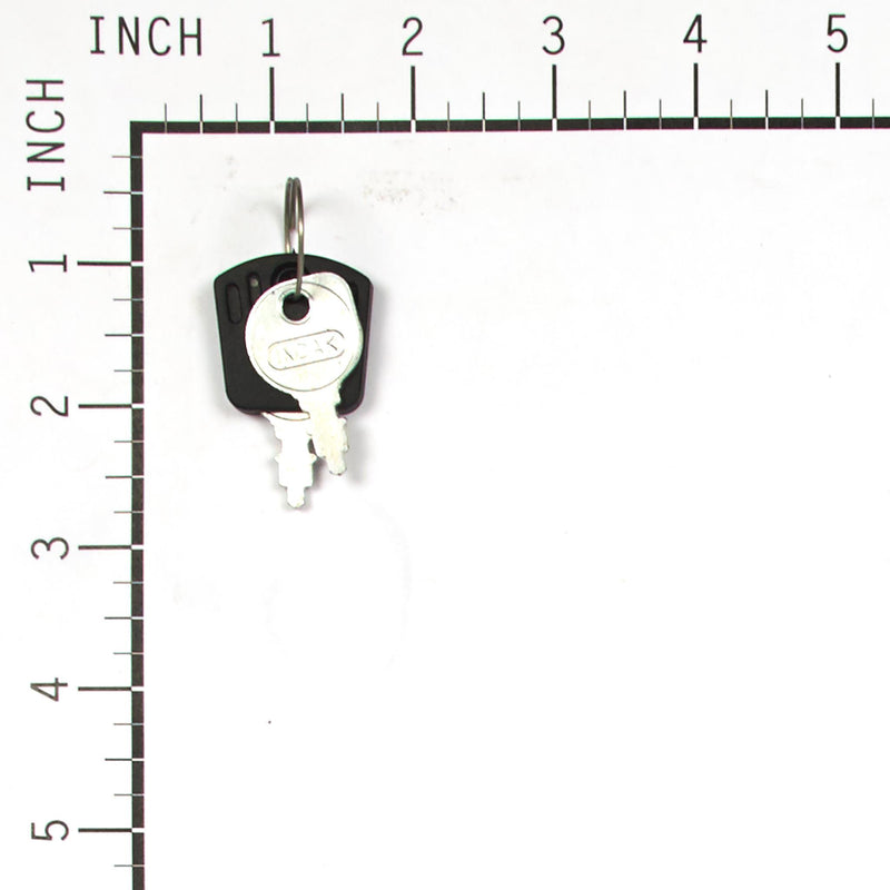 Briggs & Stratton - 1717163SM - Ignition Key