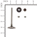 Briggs & Stratton - 843730 - VALVE-INTAKE