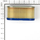 Briggs & Stratton - 491950 - FILTER-A/C CARTRIDGE