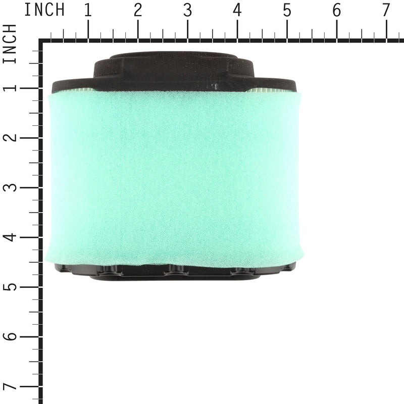 Briggs & Stratton - 4233 - Air Filters
