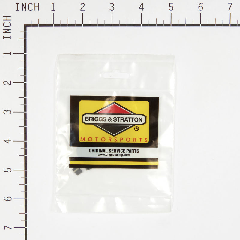 Briggs & Stratton - 555550 - RETAINER-VALVE