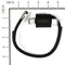 Briggs & Stratton - 845126 - Ignition Coil for Selected Vanguard V-Twin Engines