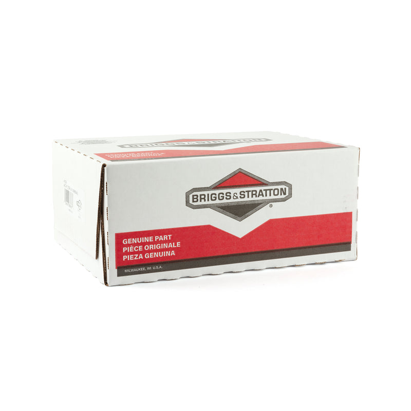 Briggs & Stratton - 4139 - 4 of 496894S Air Filters