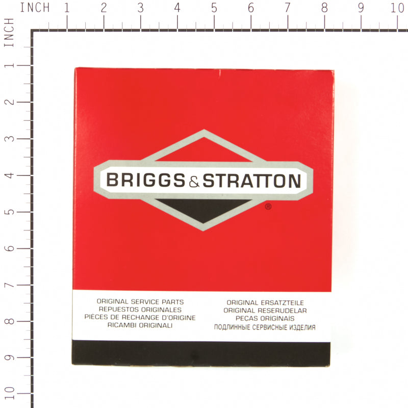 Briggs & Stratton - 555699 - PANEL
