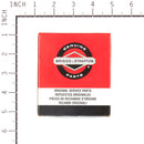 Briggs & Stratton - 555666 - RING SET-020