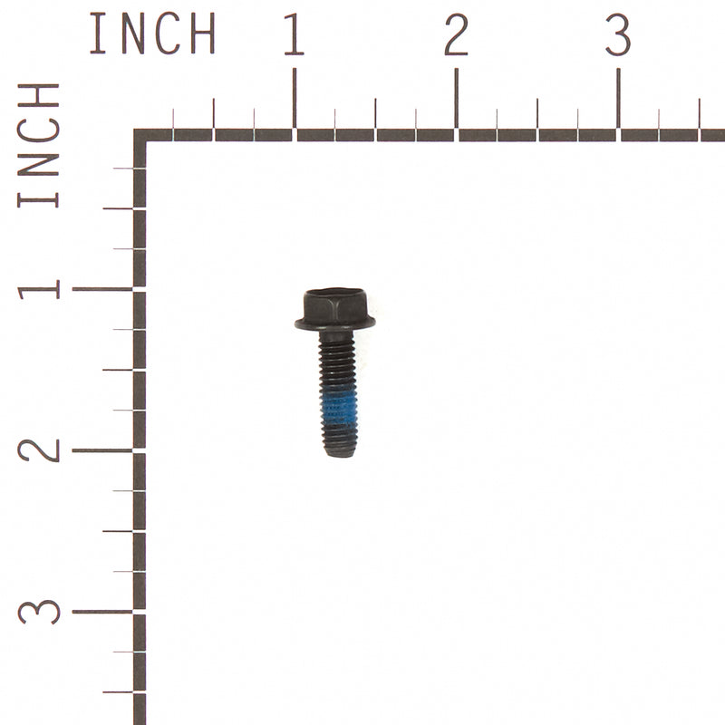 Briggs & Stratton - 555646 - SCREW/NUT SET