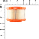 Briggs & Stratton - 595853 - Air Filter fits Model 125 Engines