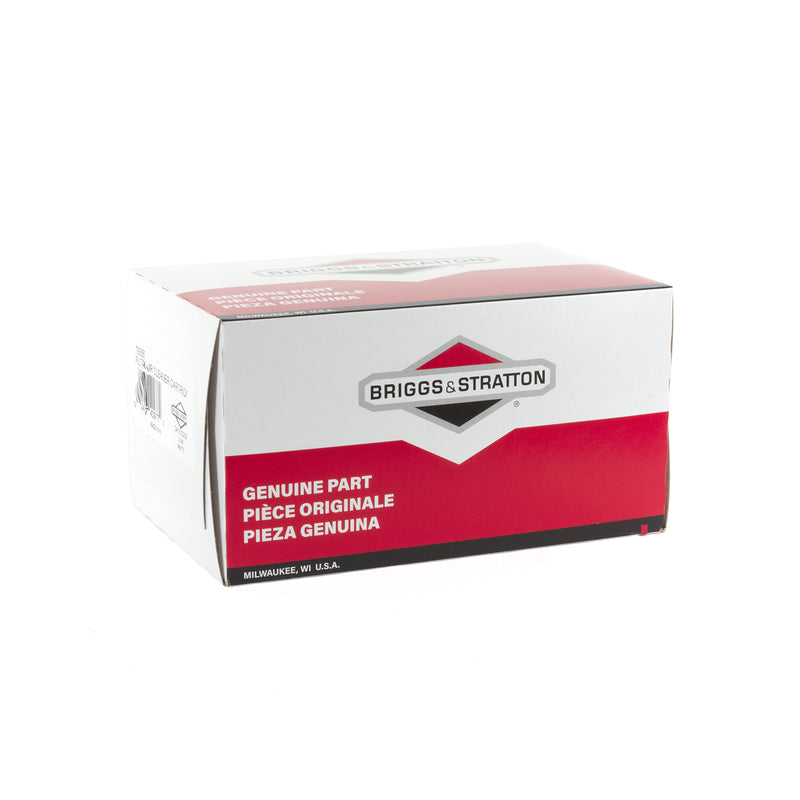 Briggs & Stratton - 793569 - Air Filter Cartridge