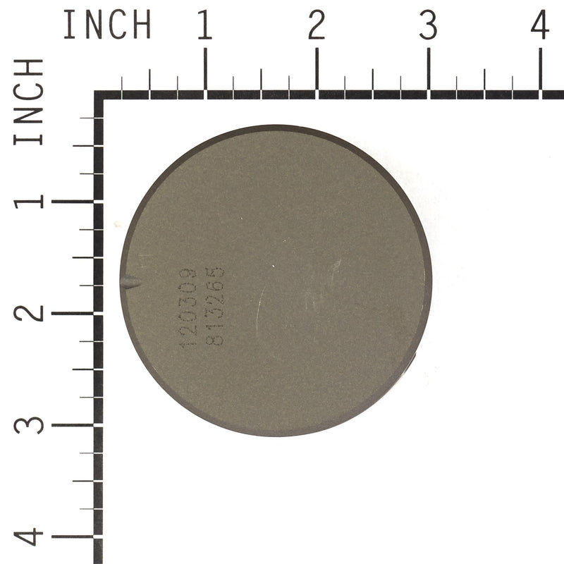 Briggs & Stratton - 799063 - PISTON ASSEMBLY