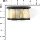 Briggs & Stratton - 497725S - Canister Air Filter