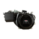 Briggs & Stratton - 25P132-0003-G1 - ENGINE PACKED SINGLE CARTON