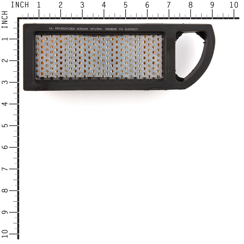 Briggs & Stratton - 790263 - FILTER-A/C CARTRIDGE