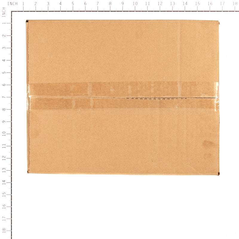 Briggs & Stratton - 19545 - Leakdown Tester