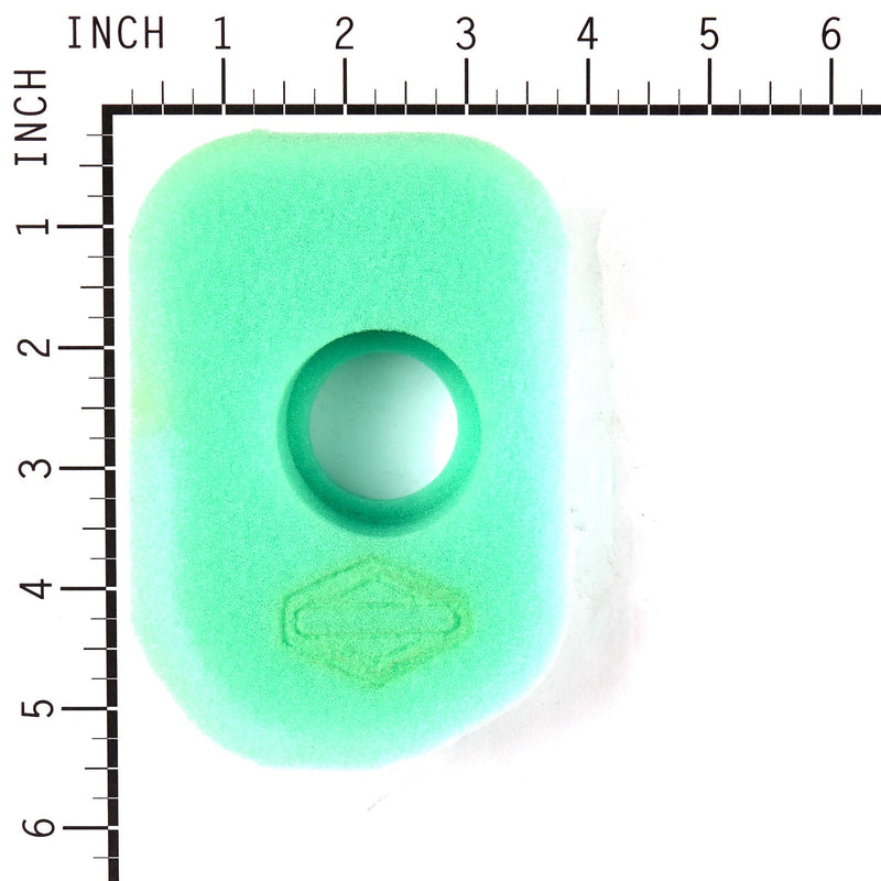 Briggs & Stratton - 270579S - Replacement Air Filter