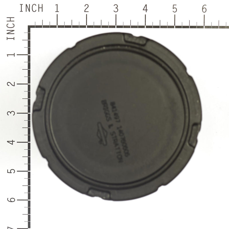 Briggs & Stratton - 841497 - Air Filter