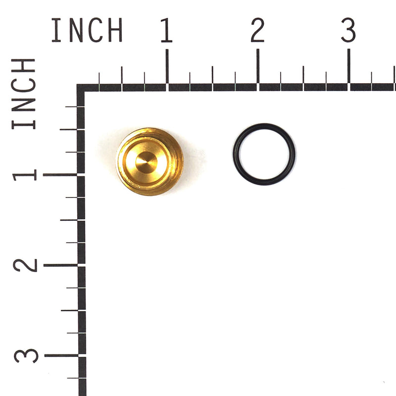 Briggs & Stratton - 201495GS - Plug for Pressure Washer Pumps