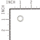 Briggs & Stratton - 703587 - Internal Tooth Lock 5/16" Washer
