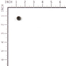 Briggs & Stratton - 694013 - GASKET SET-VALVE