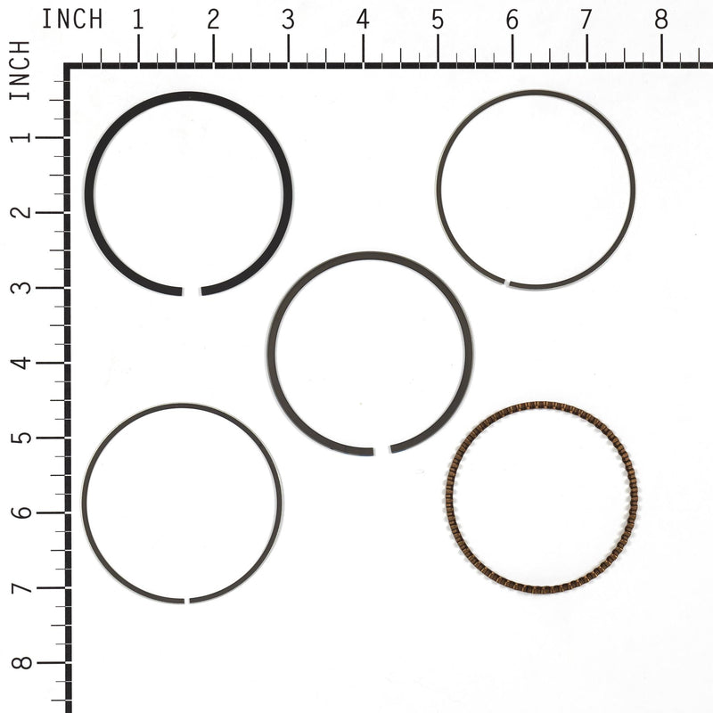Briggs & Stratton - 843953 - RING SET