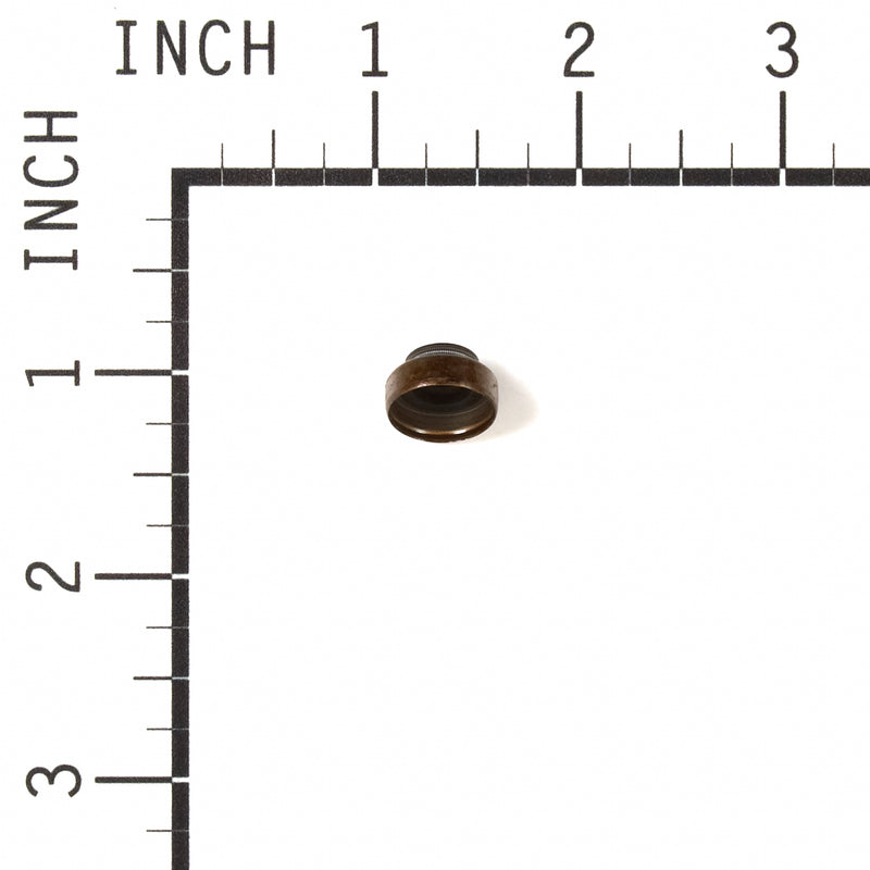 Briggs & Stratton - 697338 - SEAL-VALVE