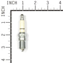 Champion - 401S - RS12YC Shop Pack 24 Plugs