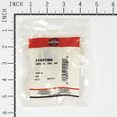 Briggs & Stratton - 313887MA - BRNG FL . IDX . OD