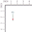 Briggs & Stratton - 699484 - Replacement Screw