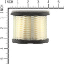 Briggs & Stratton - 4207 - 4 of 697029 Air Filters