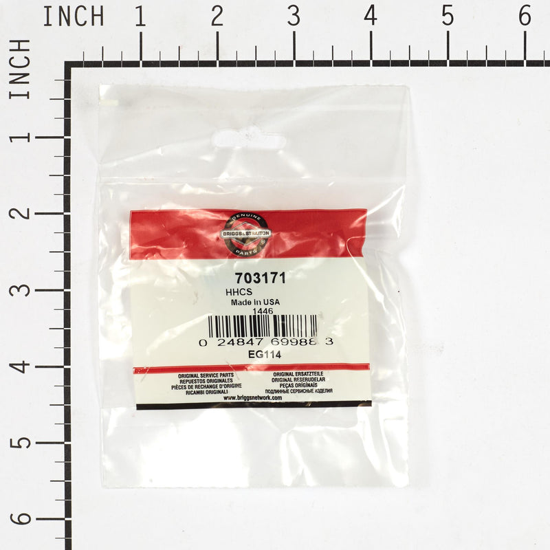 Briggs & Stratton - 703171 - HHCS