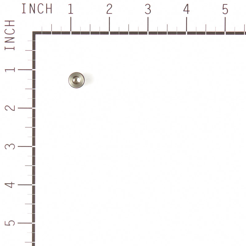 Briggs & Stratton - 317897GS - KIT-CHECK VALVE