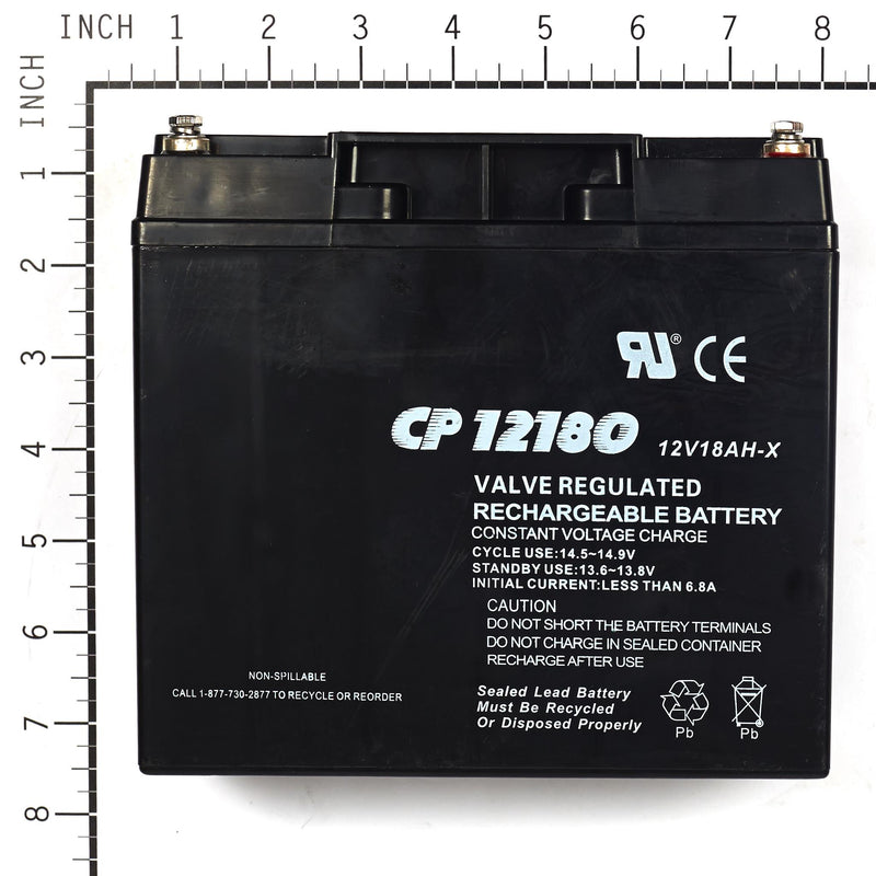 Briggs & Stratton - 193043GS - BATTERY