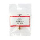 Briggs & Stratton - 796560 - PLUG-SPARK
