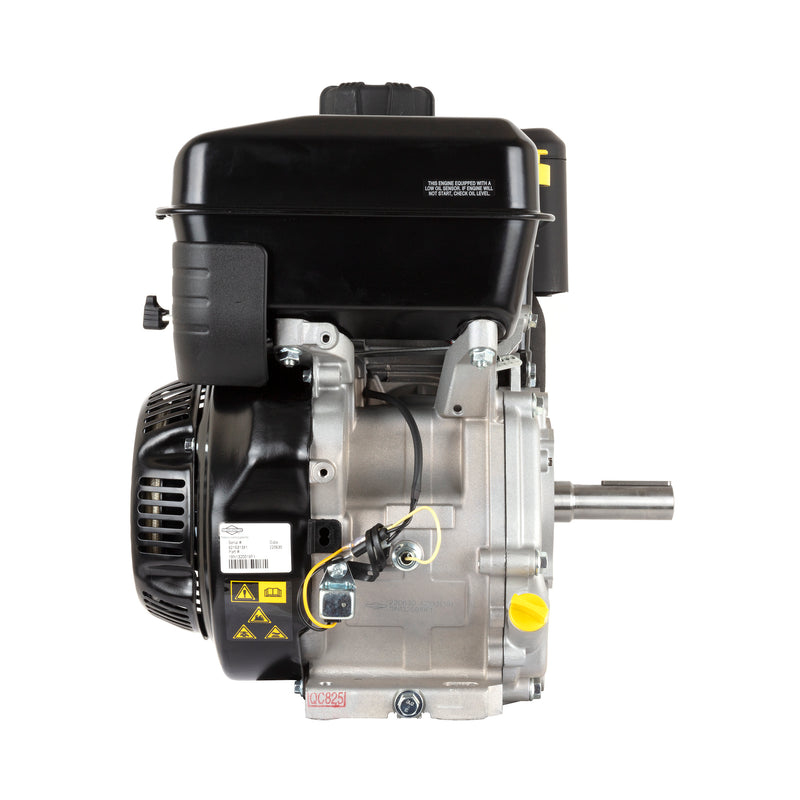 Briggs & Stratton - 19N132-0019-F1 - XR1450 Professional SeriesTM Single Cylinder, Air Cooled, 4-Cycle Gas Engine, 1" x 3-31/64" Crankshaft