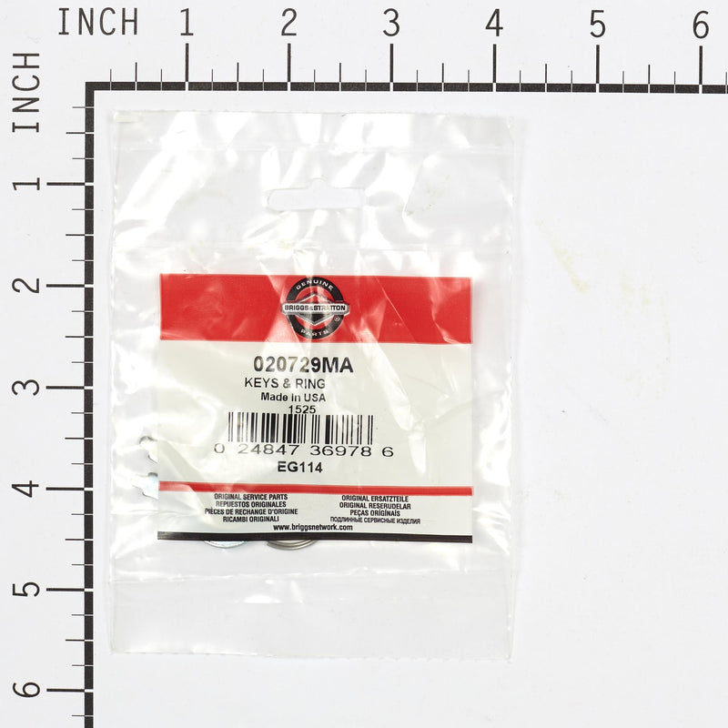 Briggs & Stratton - 20729MA - KEYS & RING