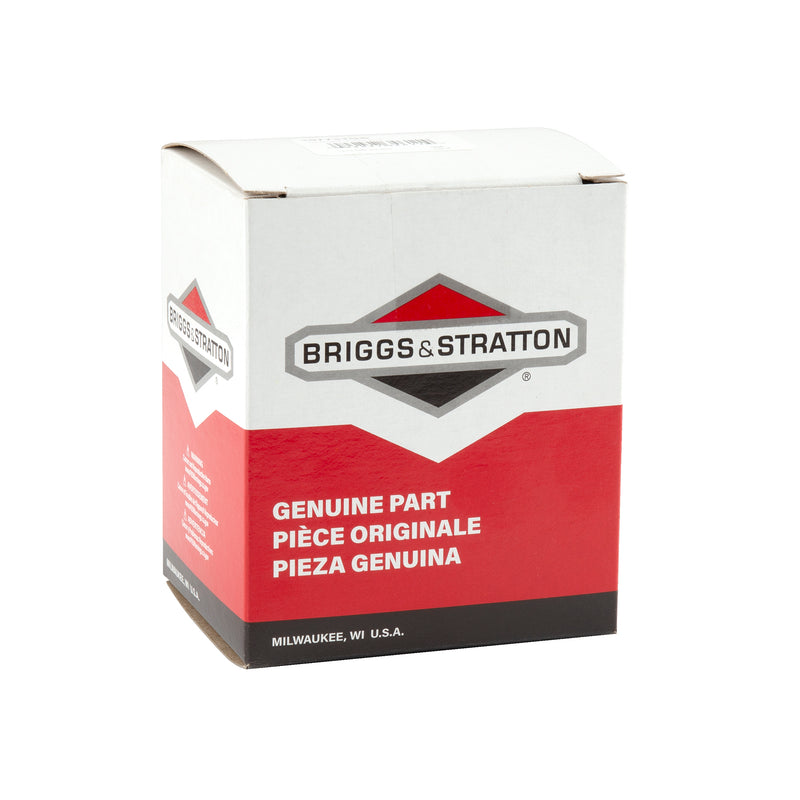Briggs & Stratton - 197731GS - OUTLET-120V 20A