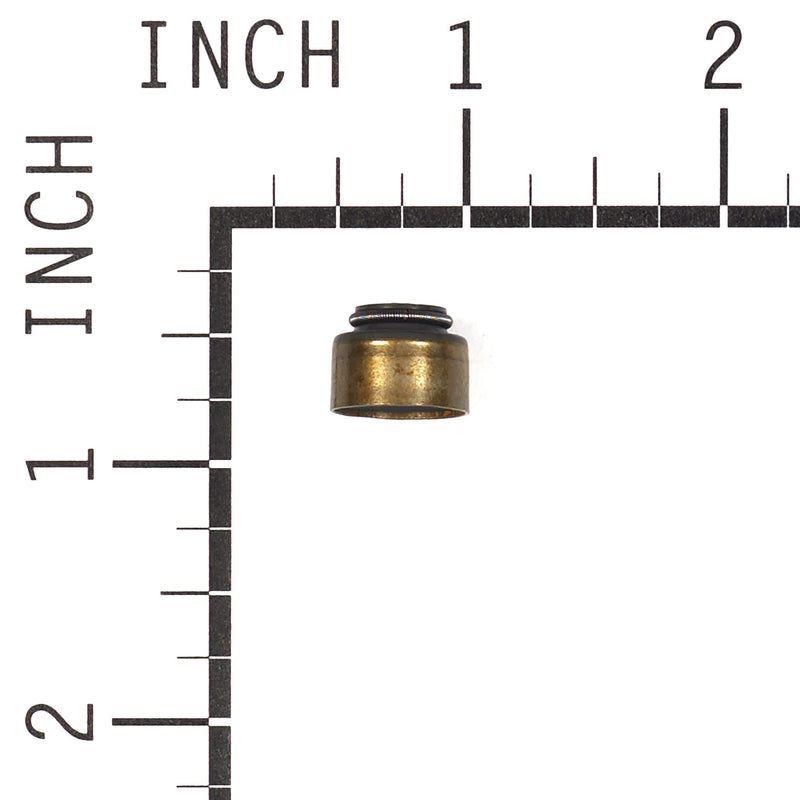Briggs & Stratton - 820405 - SEAL-VALVE