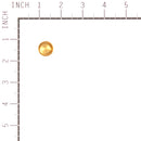Briggs & Stratton - 555659 - DRAIN-CARBURETOR BOWL
