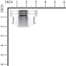 Briggs & Stratton - 792023 - PISTON ASSY-STD