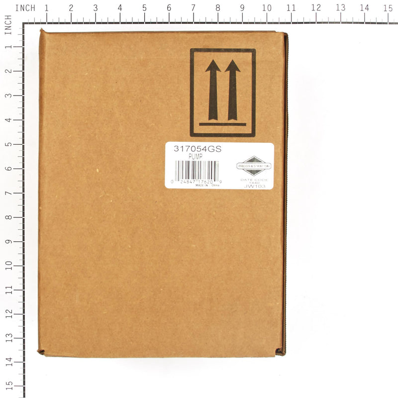 Briggs & Stratton - 317054GS - PUMP