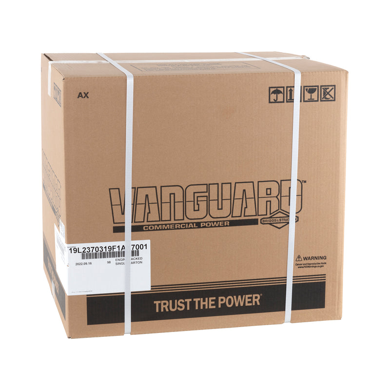 Briggs & Stratton - 19L237-0319-F1 - ENGINE PACKED SINGLE CARTON