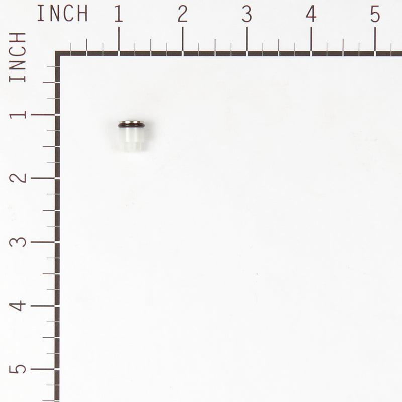 Briggs & Stratton - 317897GS - KIT-CHECK VALVE